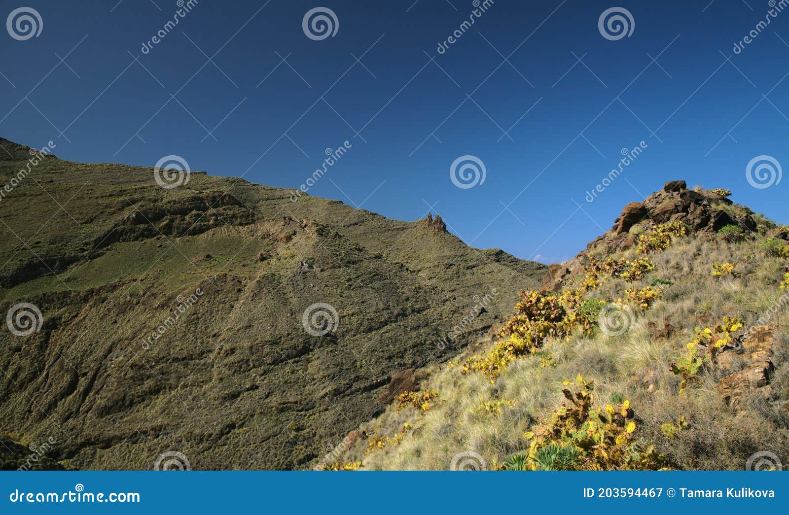 gran canaria, volcanic landscape of mountain valley barranco oscuro