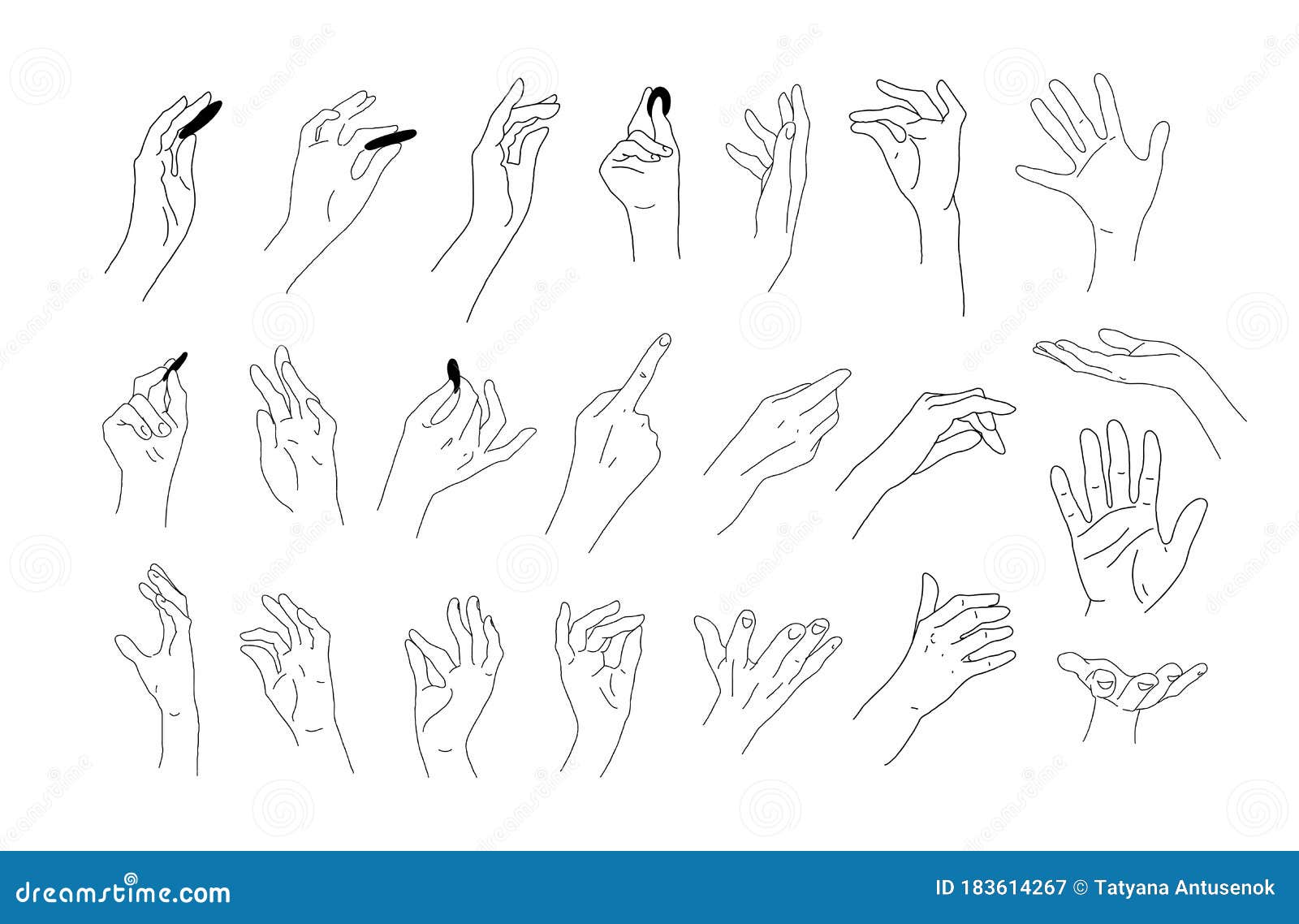 Gran Conjunto De Dibujos Realistas a Mano. Dibujos Lineales De Las Manos De  Los Dedos De Las Manos Y De Las Palmas. Elementos De D Ilustración del  Vector - Ilustración de arte,