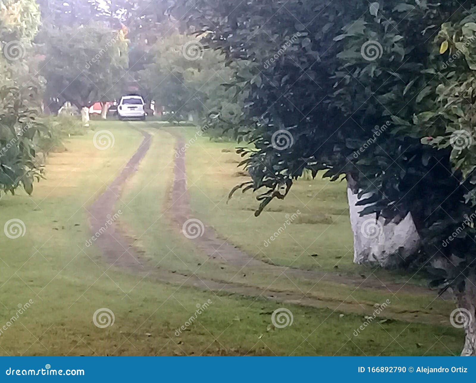 gran jardin con huerto y un vehiculo al fondo.