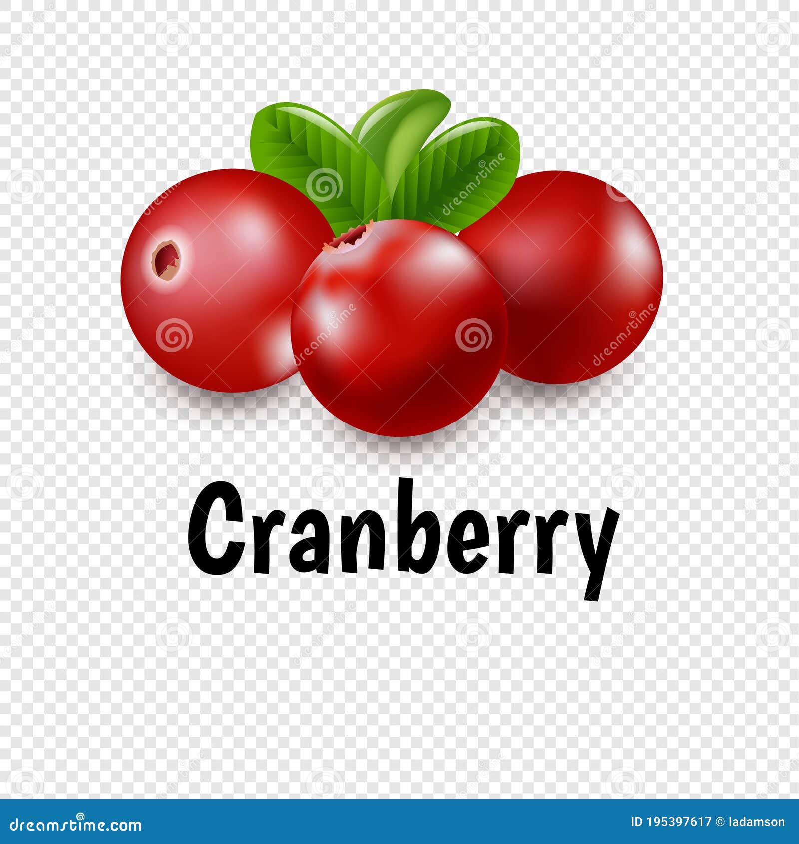 granberry set with transparent background