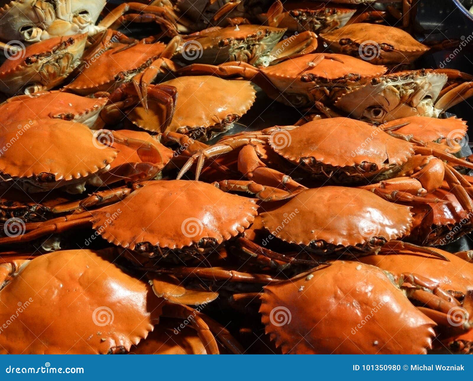 Set 10 Utensili Per Frutti Di Mare - Forbici, Forchette E Schiaccianoci Per Aragosta, Granchio E Ostriche - Foto 12