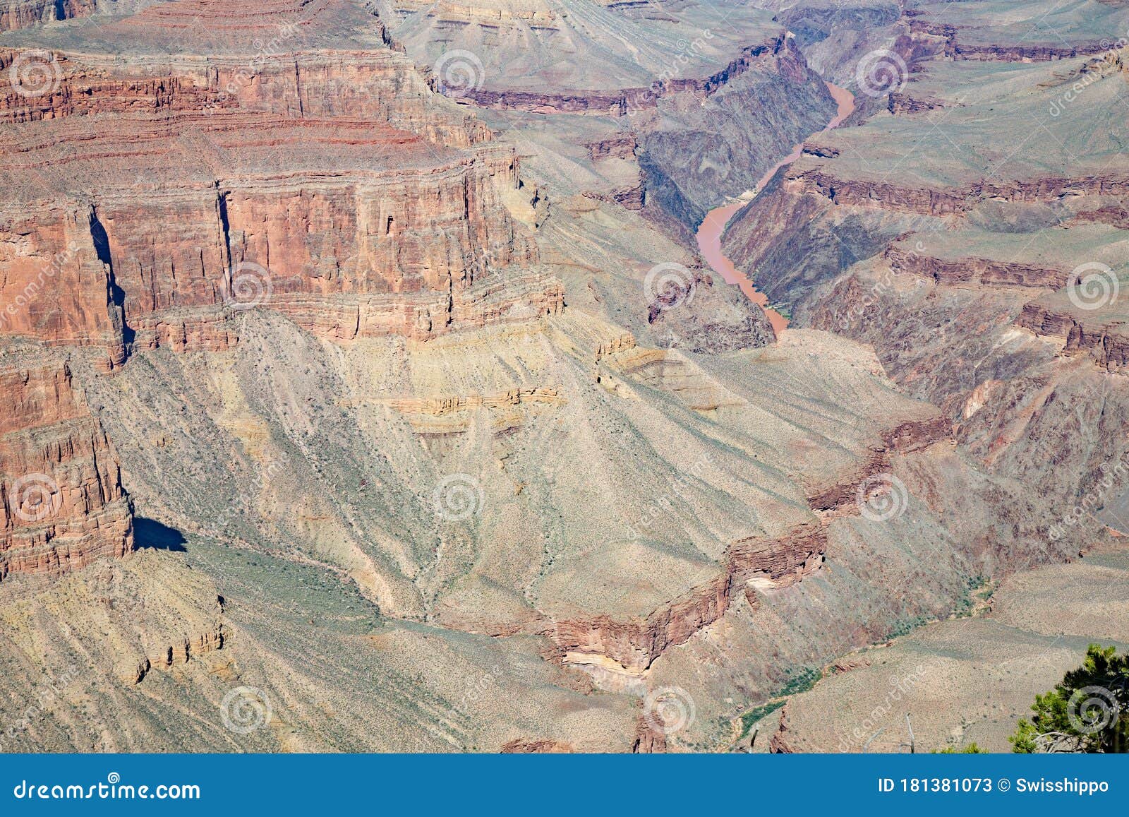 Grand Canyon stock image. Image of wild, stone, grand - 181381073