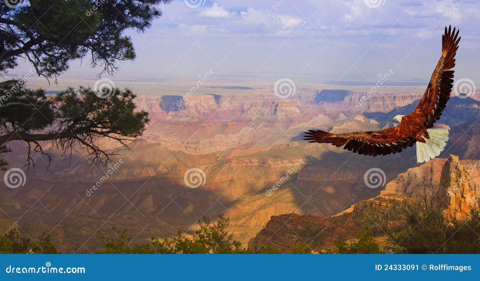 grand canyon usa