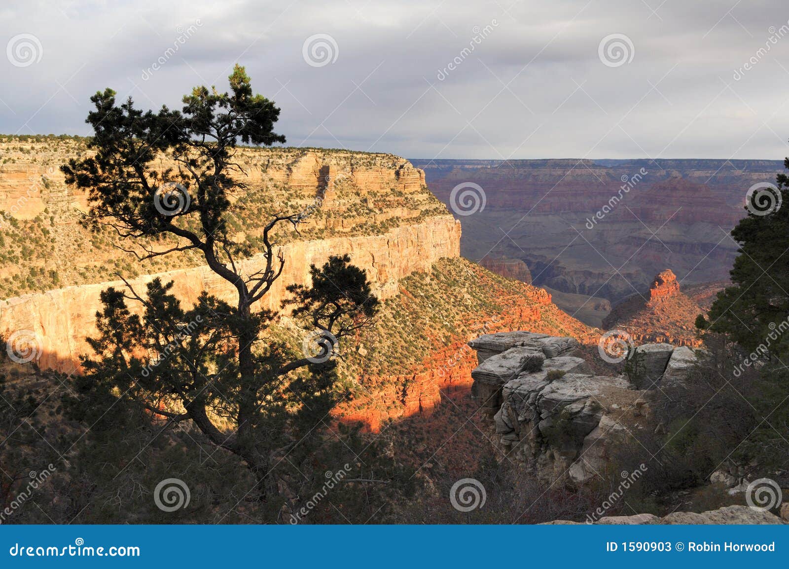 Grand Canyon view 3 stock image. Image of landscape, park 1590903