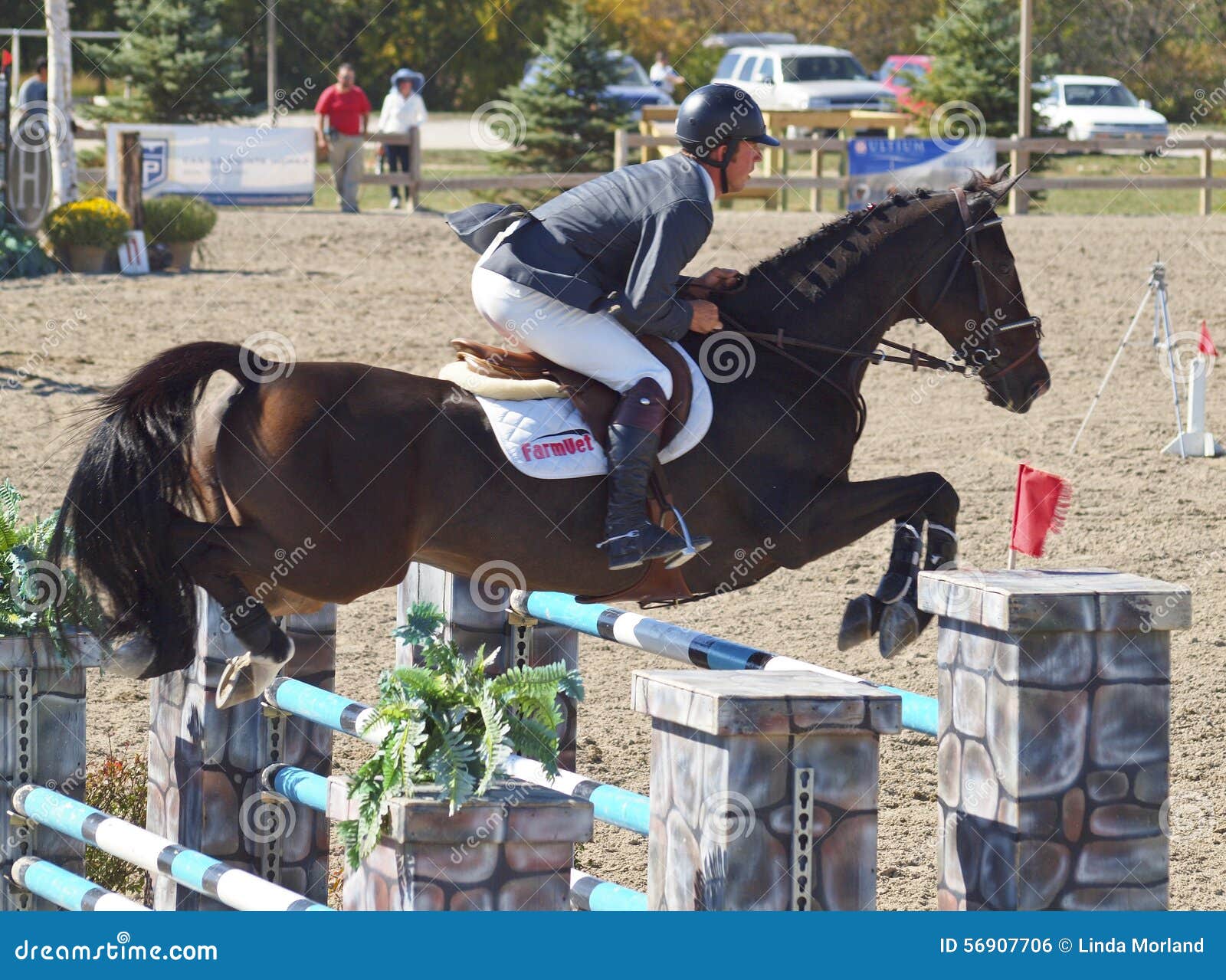 Grand Prix Jumping editorial photo. Image of horses, prix 56907706