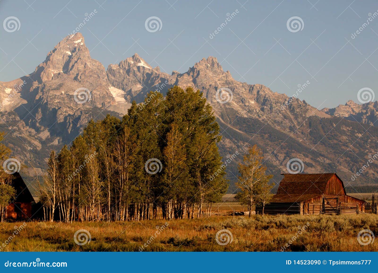 Grand Teton Splendor stock photo. Image of grand, field - 14523090