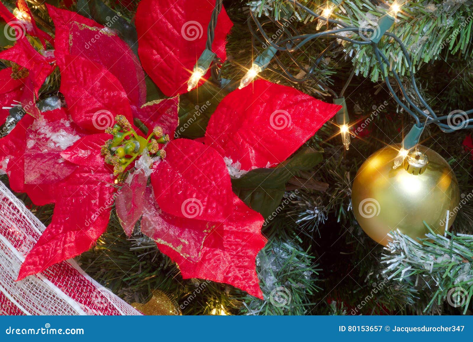 Stella Di Natale Decorazione.Grande Fiore Rosso Della Stella Di Natale Per La Decorazione Dell Albero Di Natale Immagine Stock Immagine Di Sfera Filiale 80153657