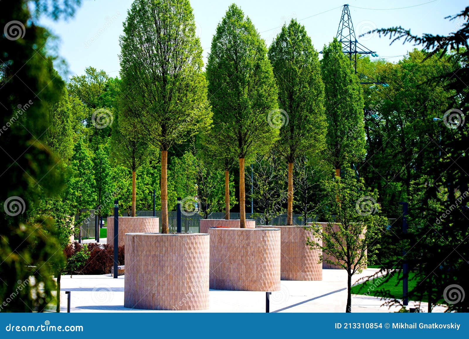 Grandes árboles En Macetas De Jardín De Piedra Redonda En El Parque Público  Moderno Foto de archivo - Imagen de arbusto, verde: 213310854