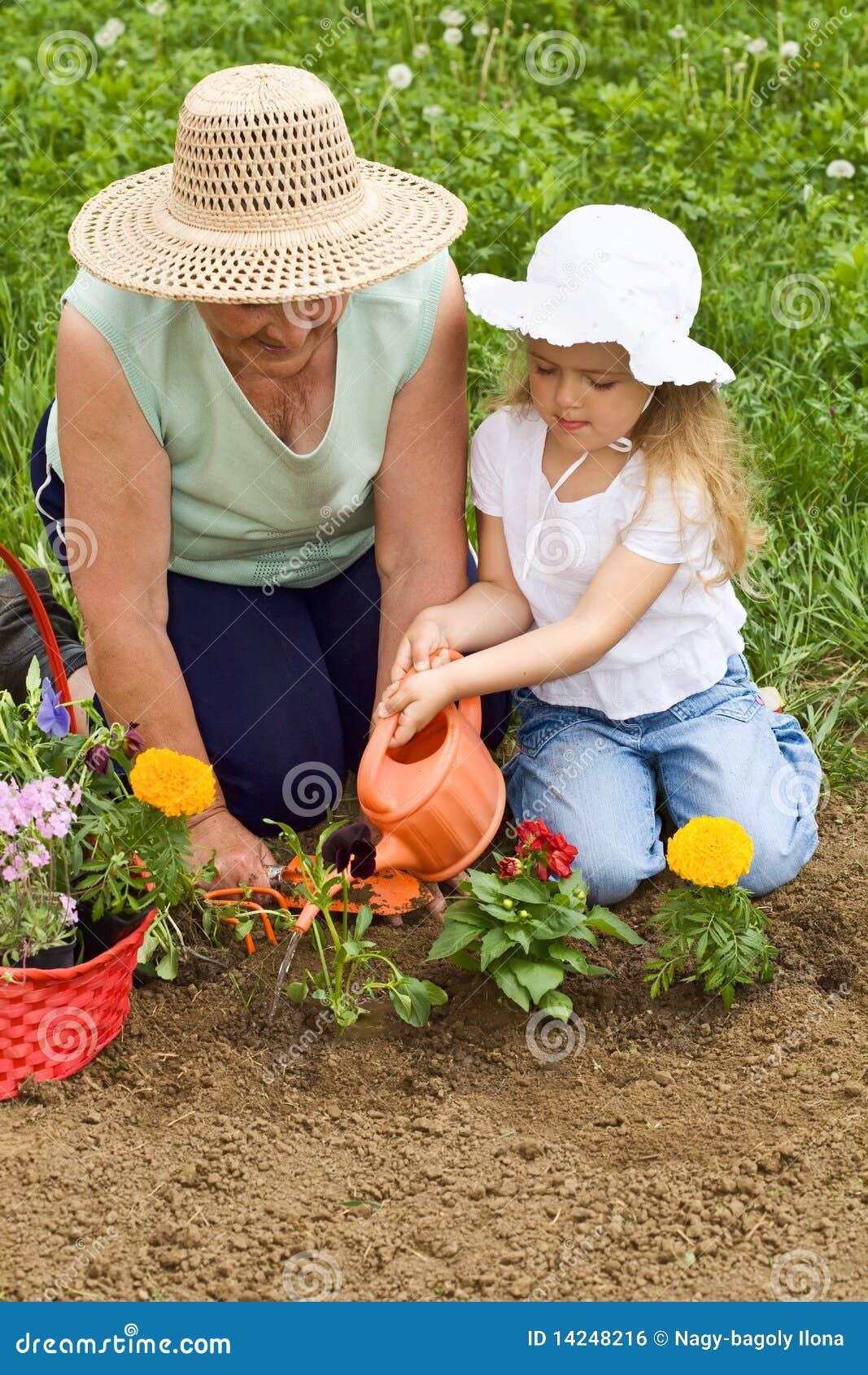 grandmother teaching child the basics of gardening