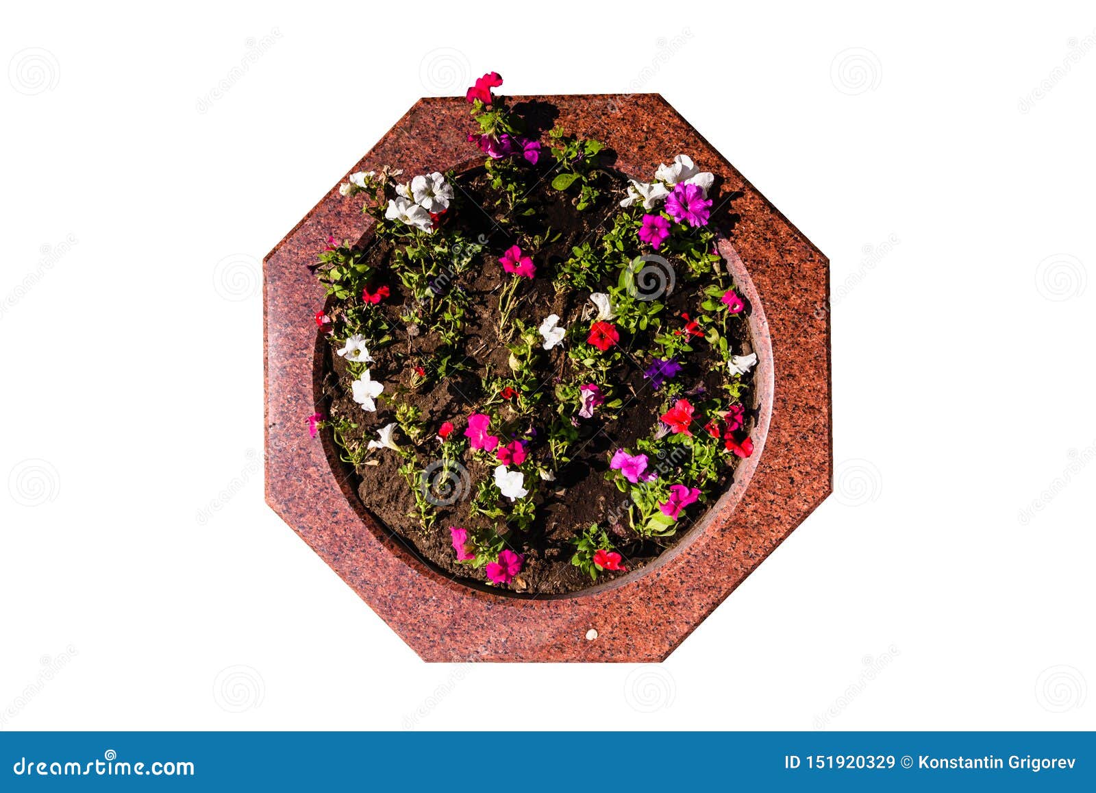 Granite Decorative Flower Bed with Multicolored Flowers Stock Image