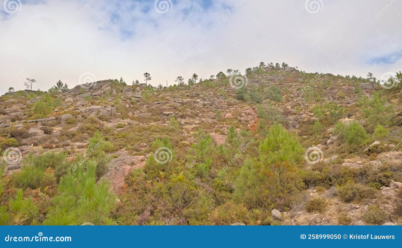 granite mountain peak with pine trees under a cloudy sky in the portuguese countrysidee