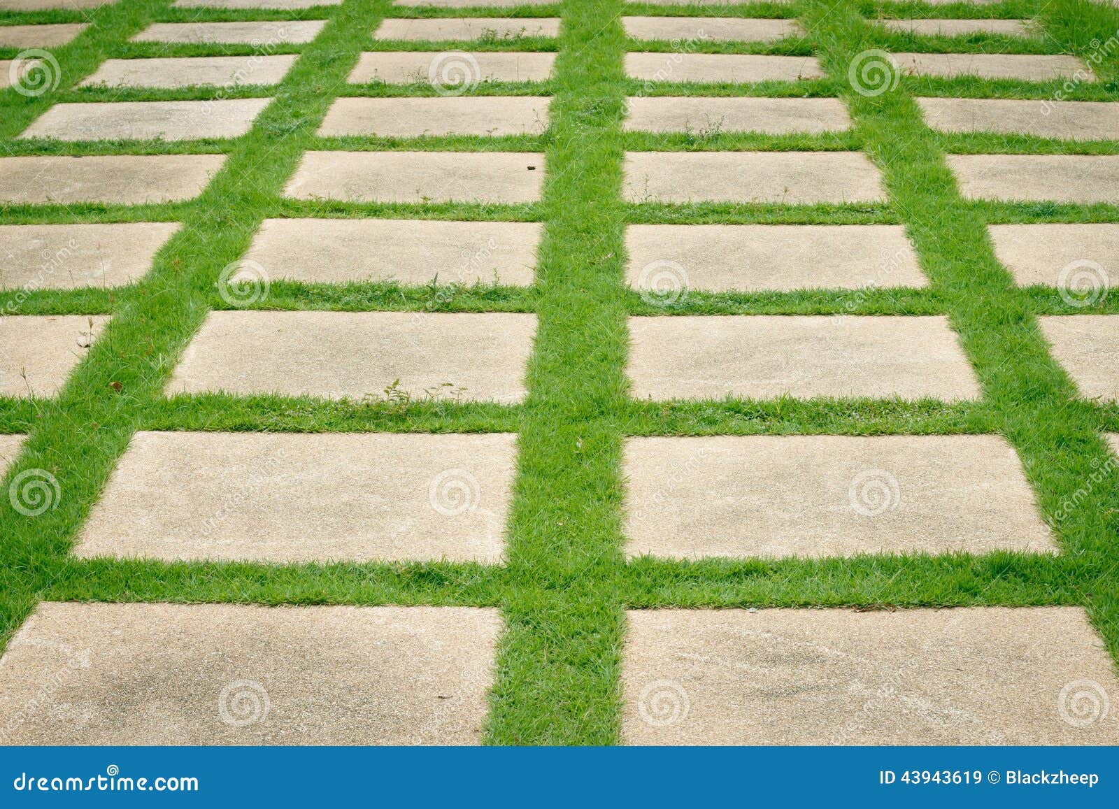 Granite Pathway On Green Grass Stock Photo Image 43943619