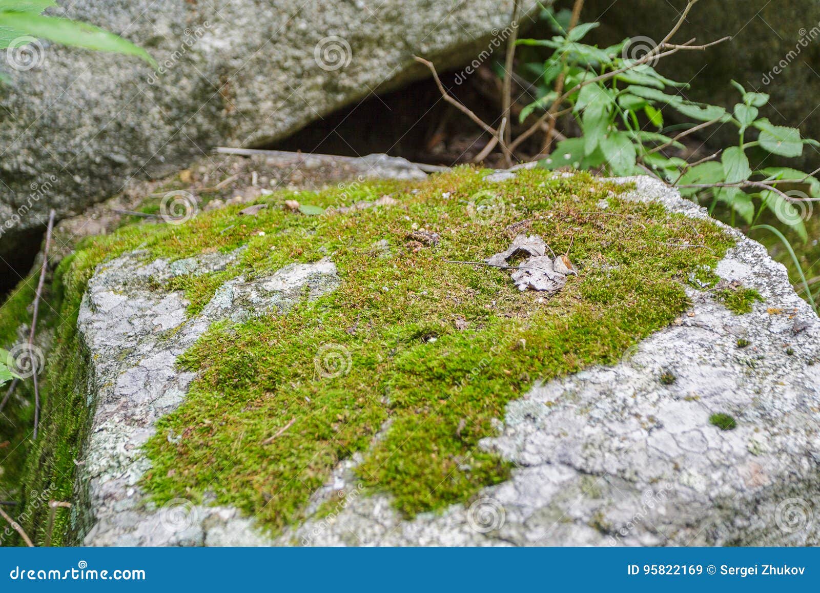 Granite Stone with Green Moss. Stock Image Image of rock, color 95822169
