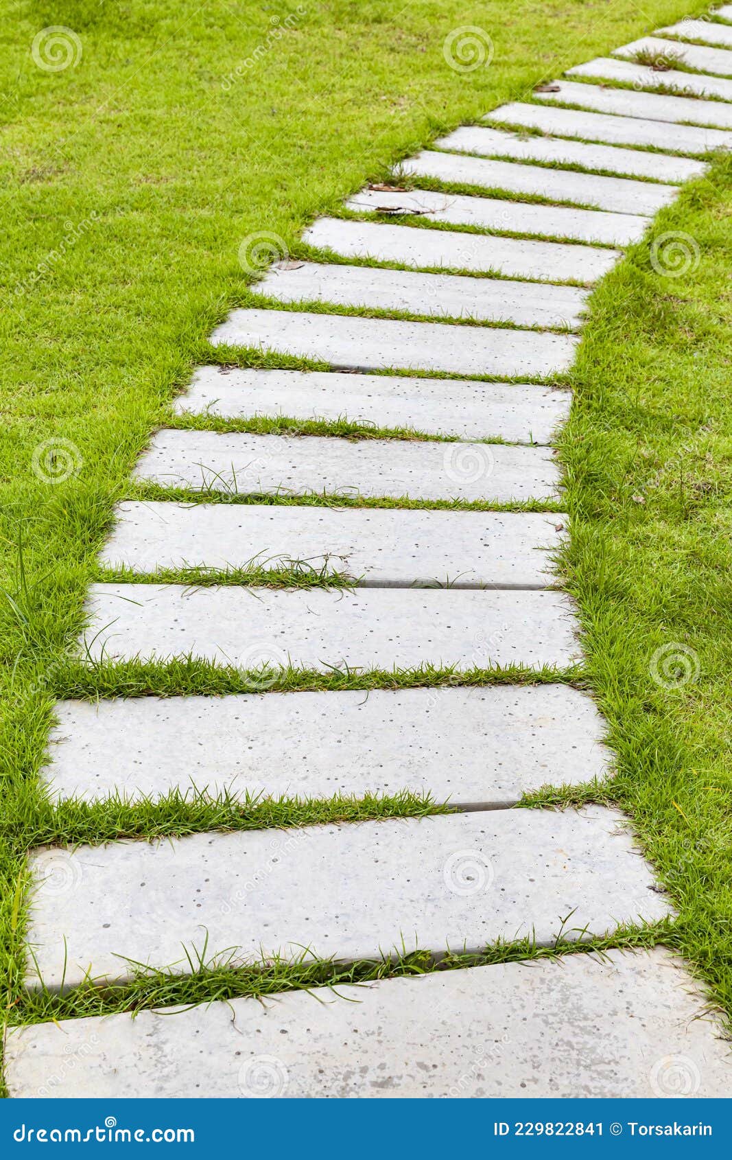 Granite Walkway Slabs Patterned in Green Lawns at the Garden Stock