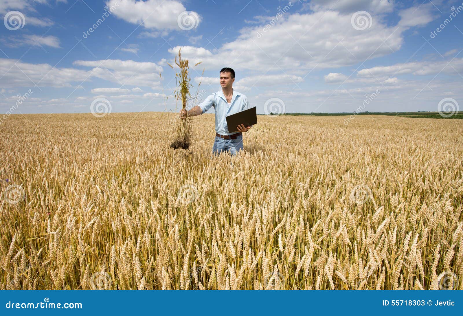 Какую работу выполняет фермер. Агроном пшеница. Агроном в поле пшеницы. Фермер в поле. Агроном в поле с зерном.