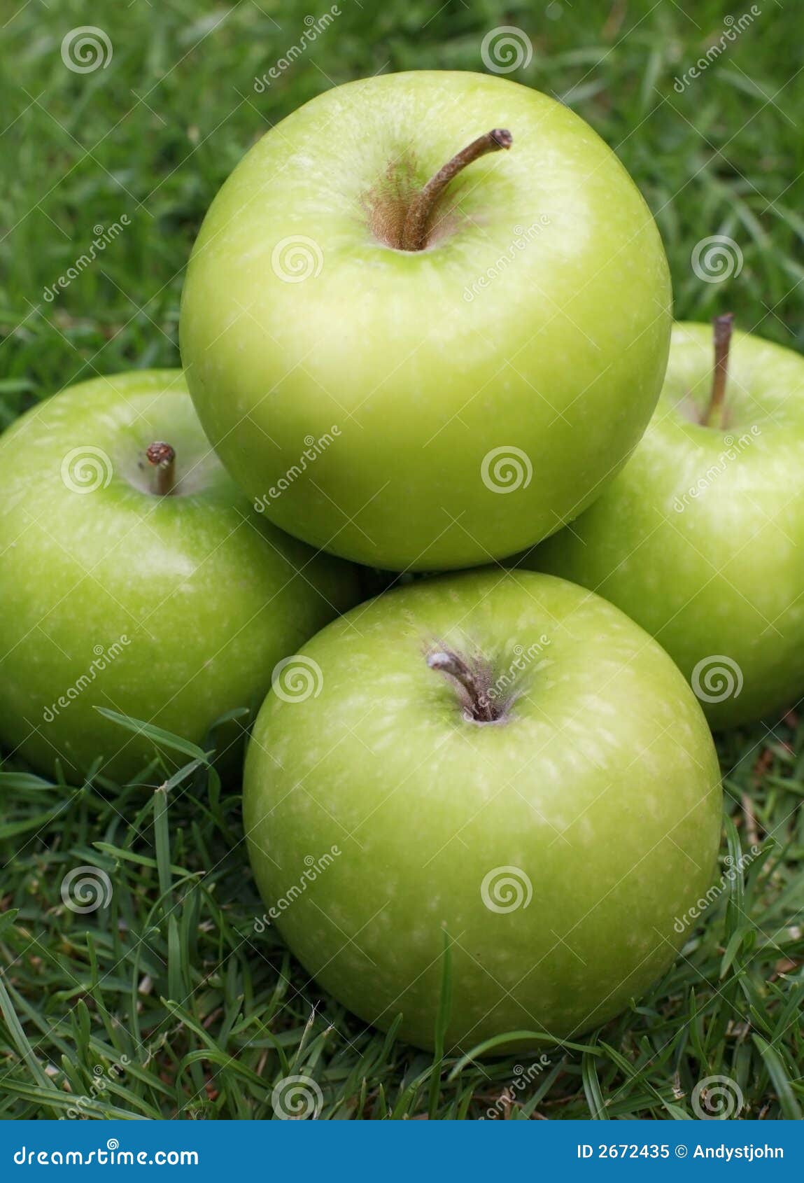 Granny Smith Apples Picture. Image 2672435