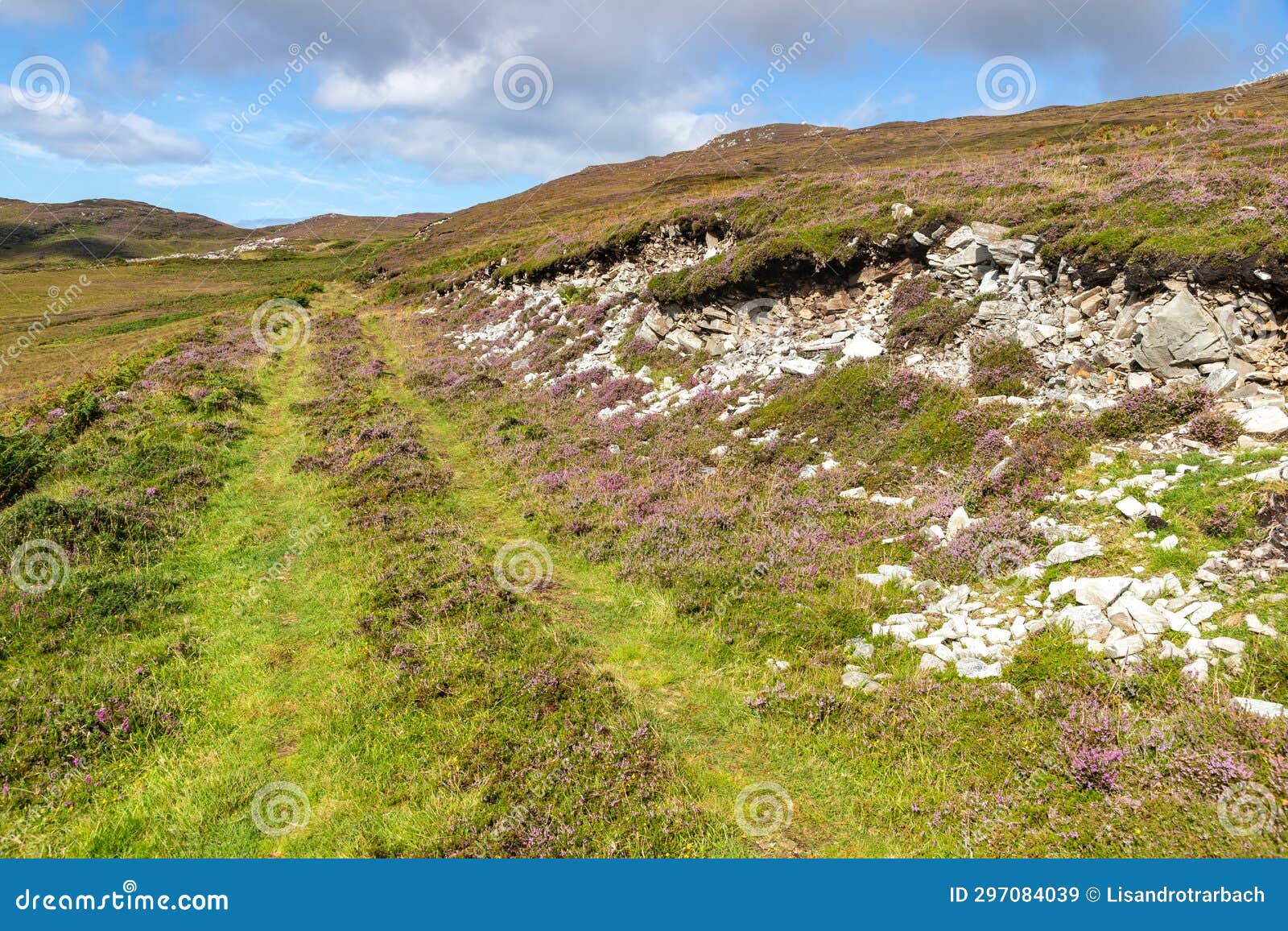 granuaile loop walk trail cover by flowers and vegetation
