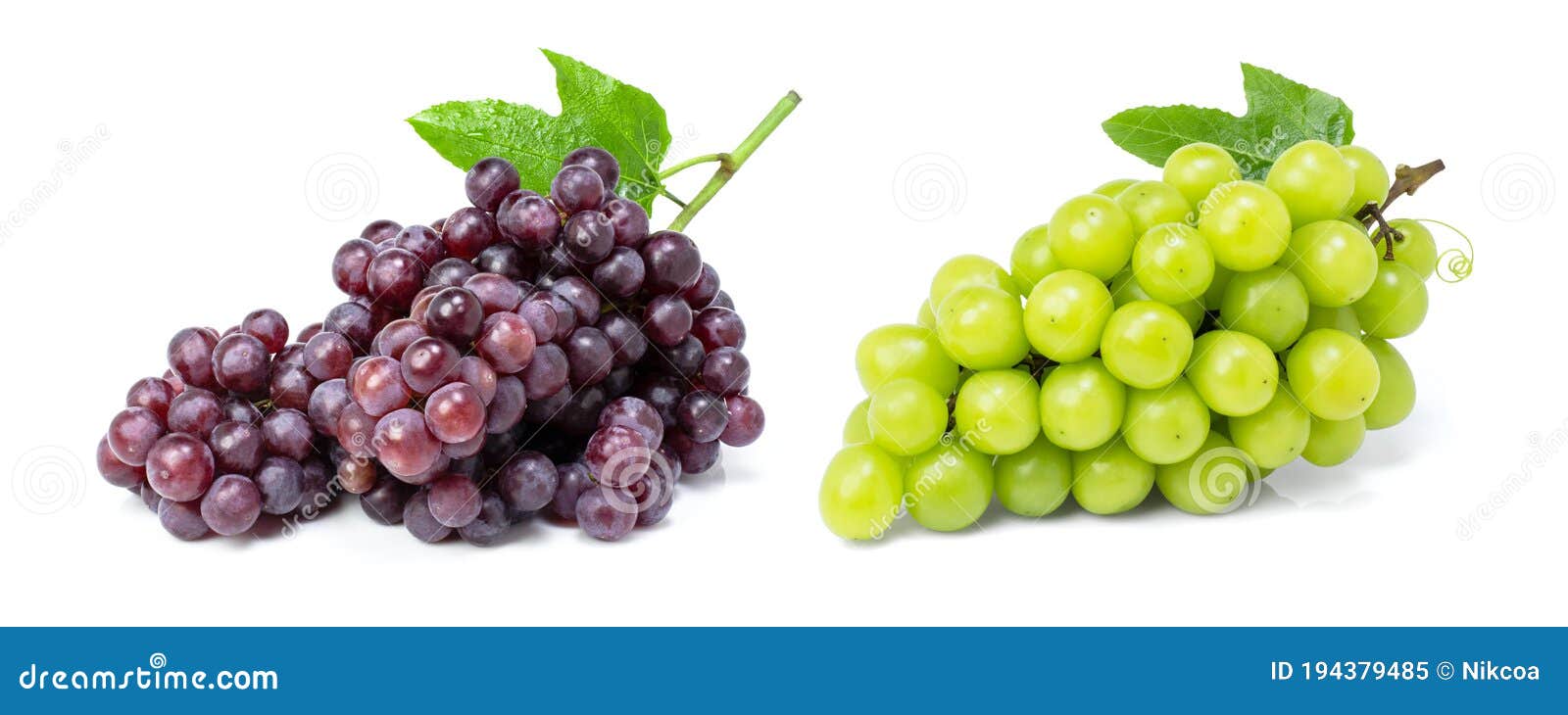 Grape isolated on white stock image. Image of fruit - 194379485