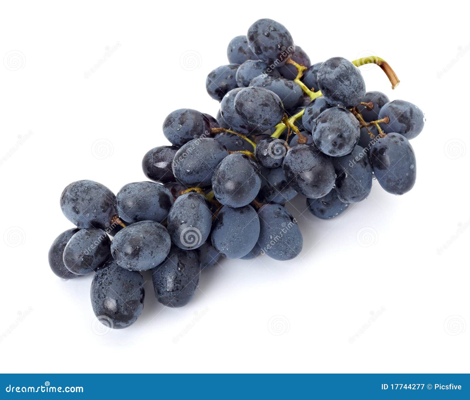 grape berry