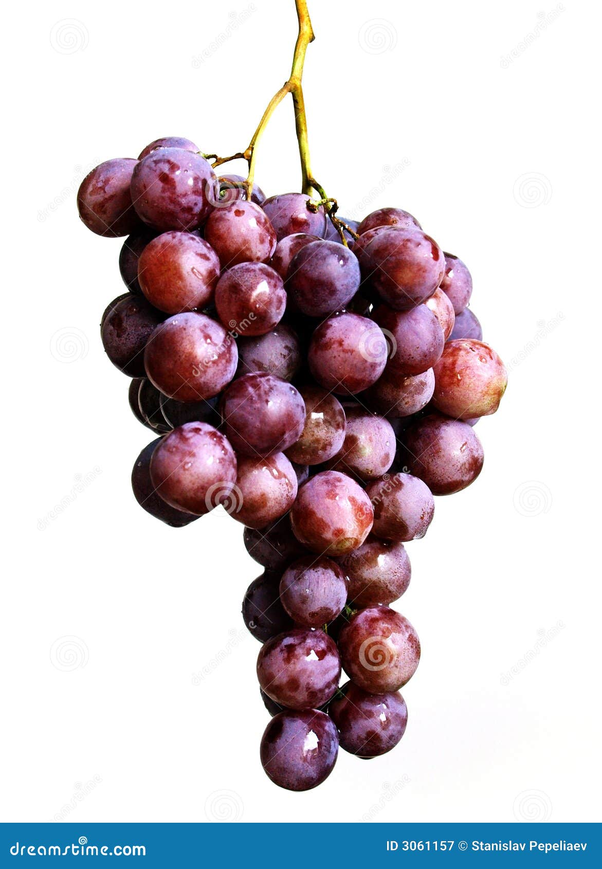Grape Bunch Royalty Free Stock Photography Image 3061157