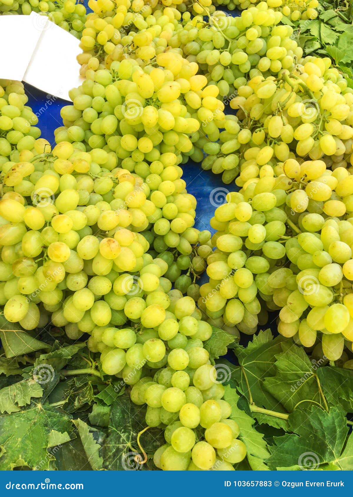Grape Clusters, Grape Grain Stock Image Image of natural, market