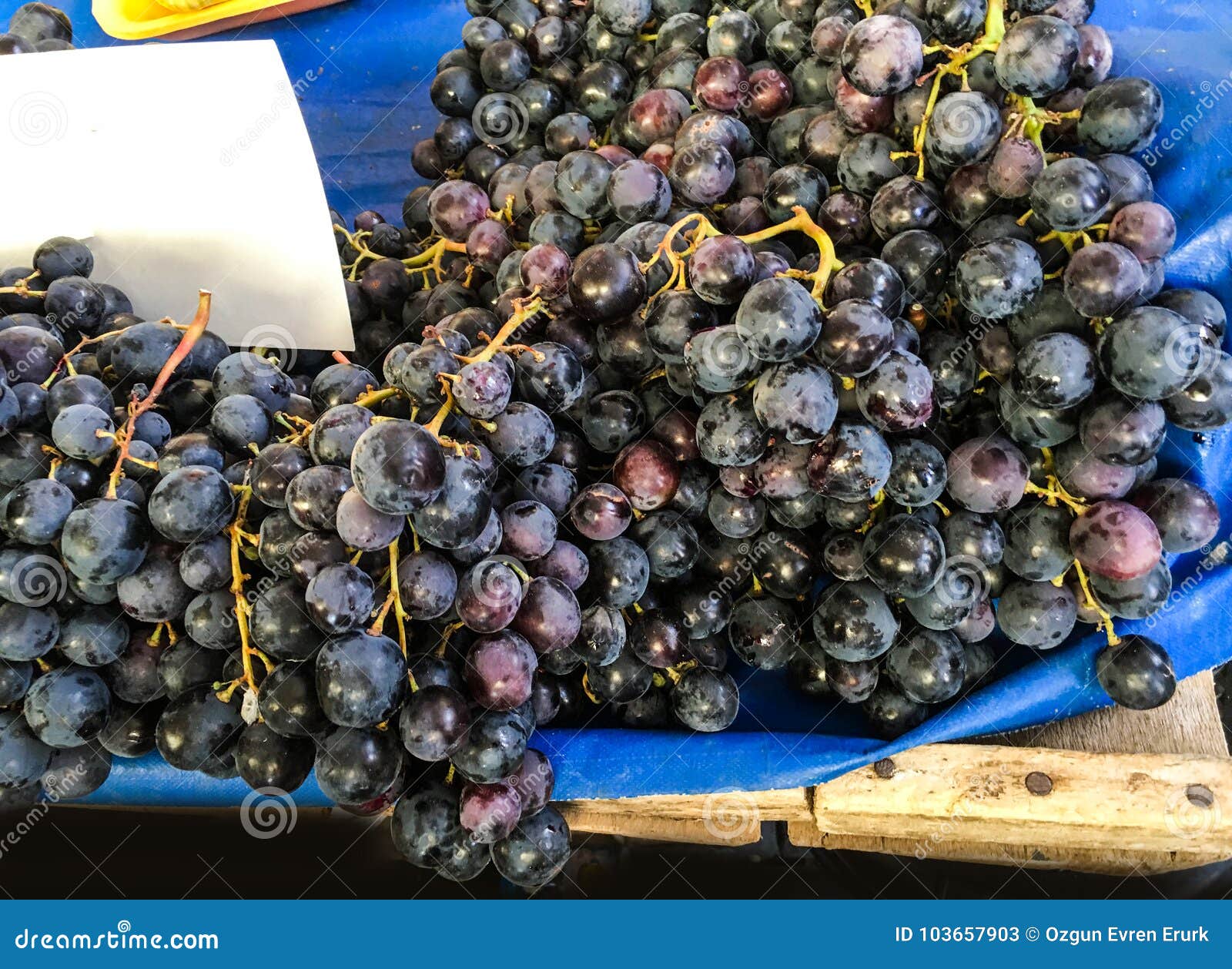 Grape Clusters, Grape Grain Stock Image Image of design, botany
