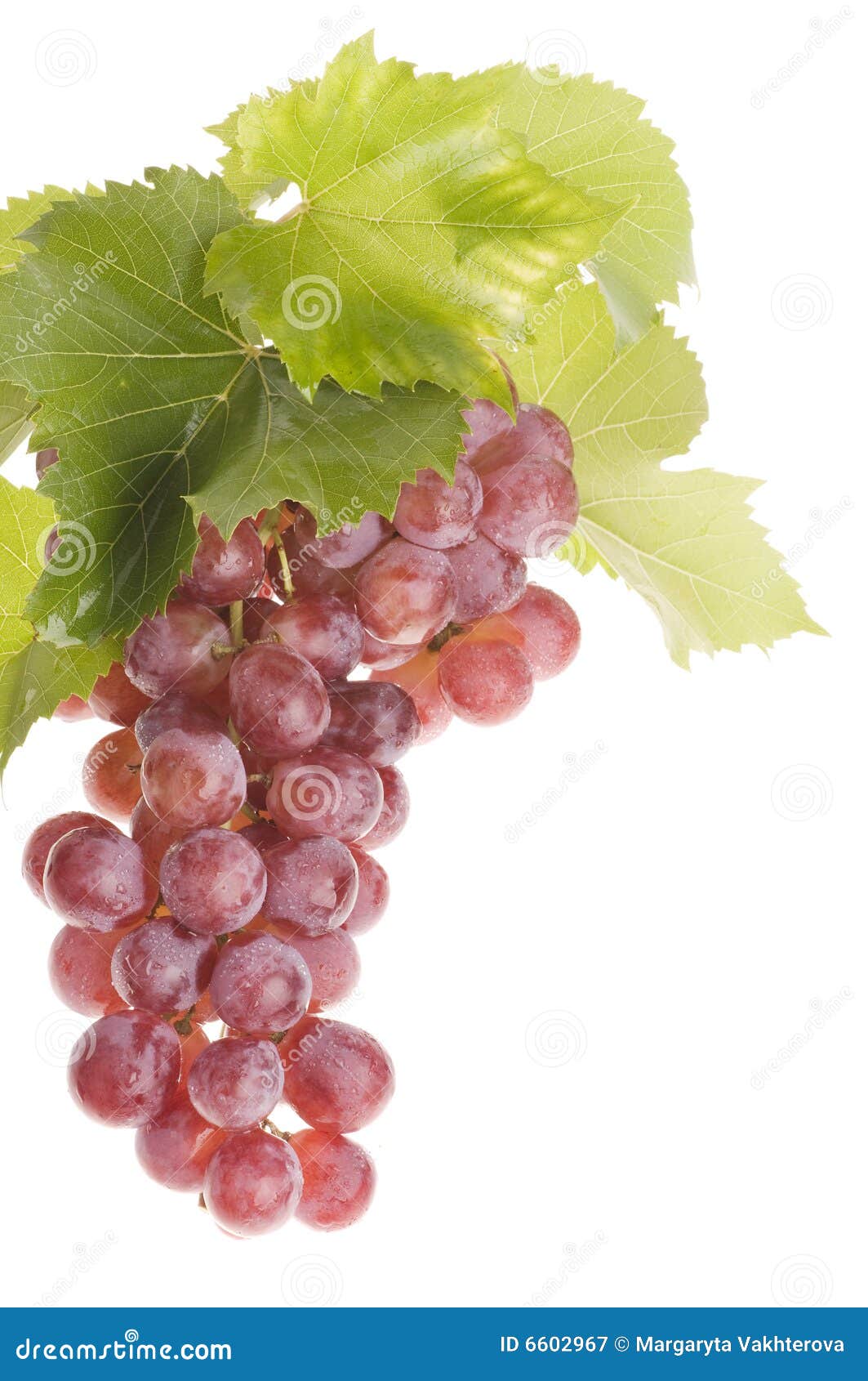 Grape food over white stock image. Image of studio, healthy 6602967