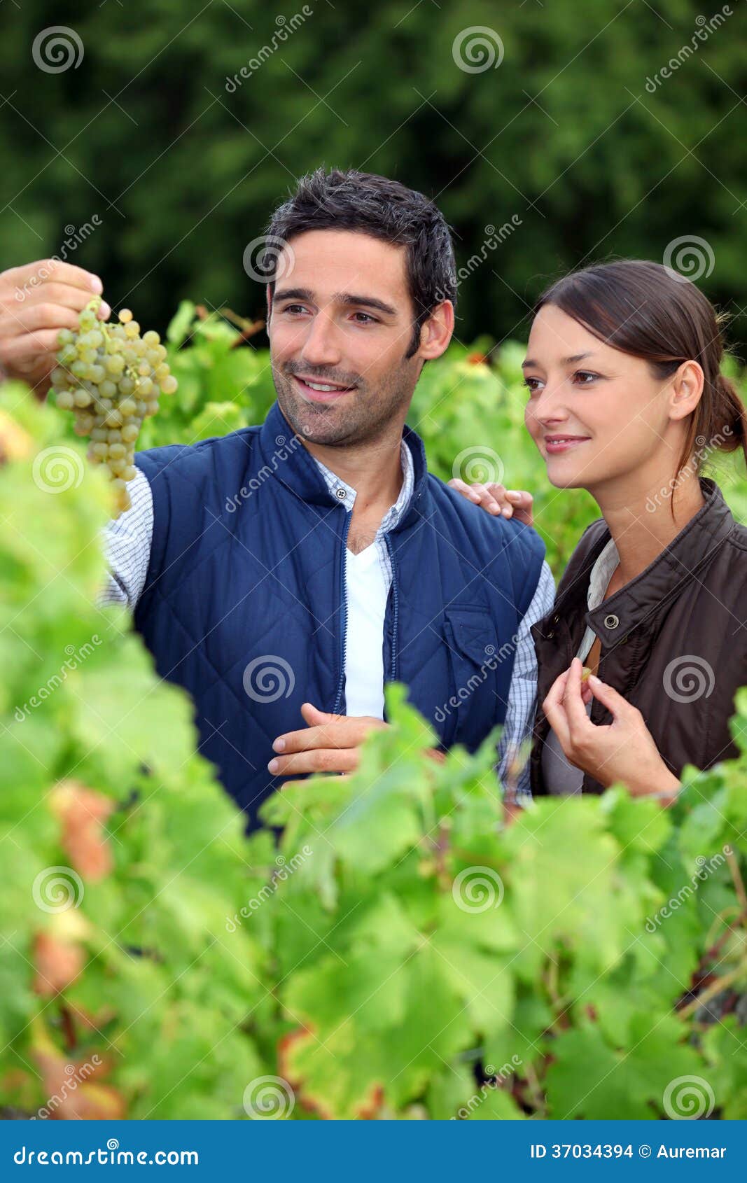 grape growers