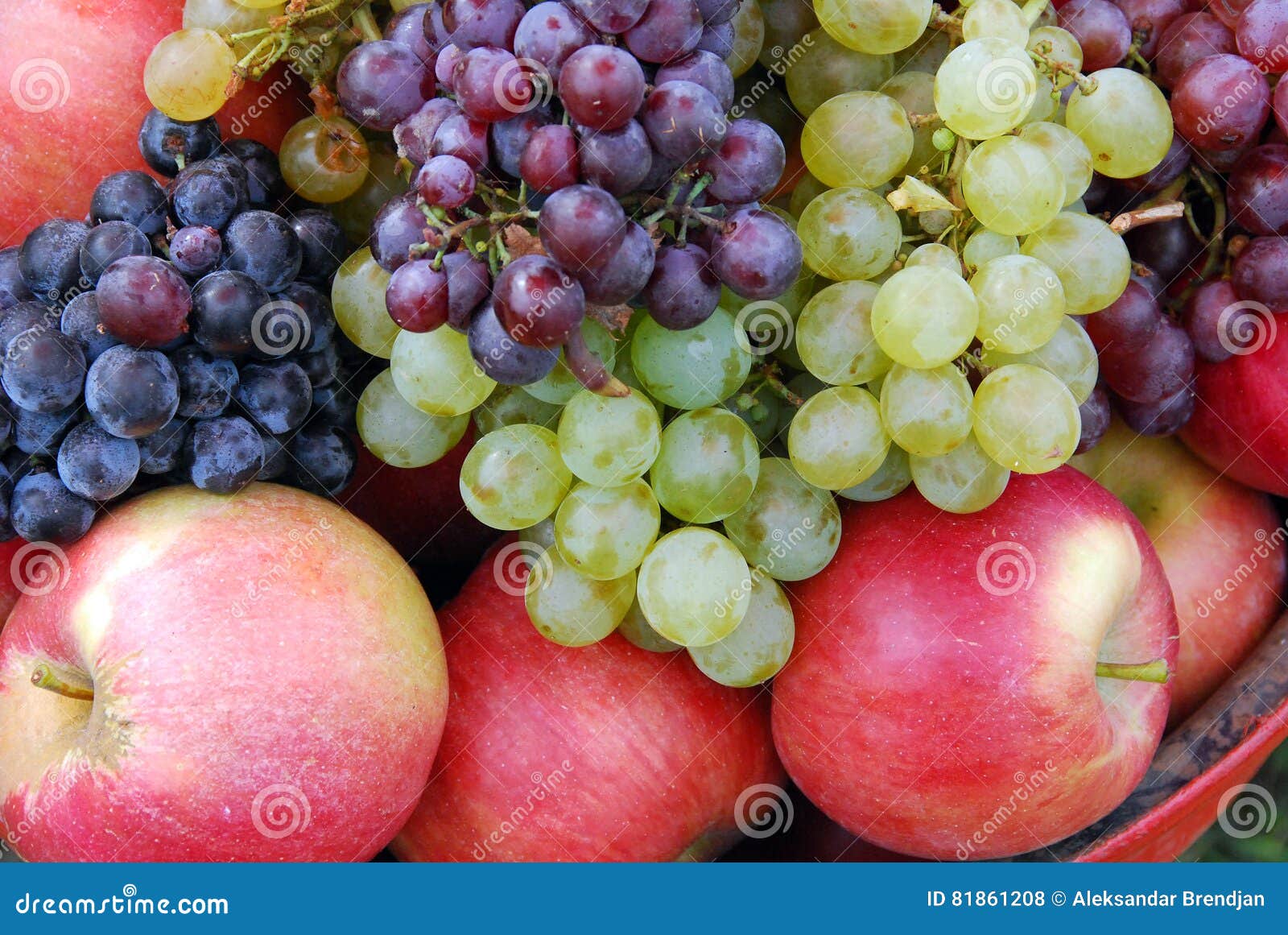 The grape and red apples stock photo. Image of blue, love 81861208