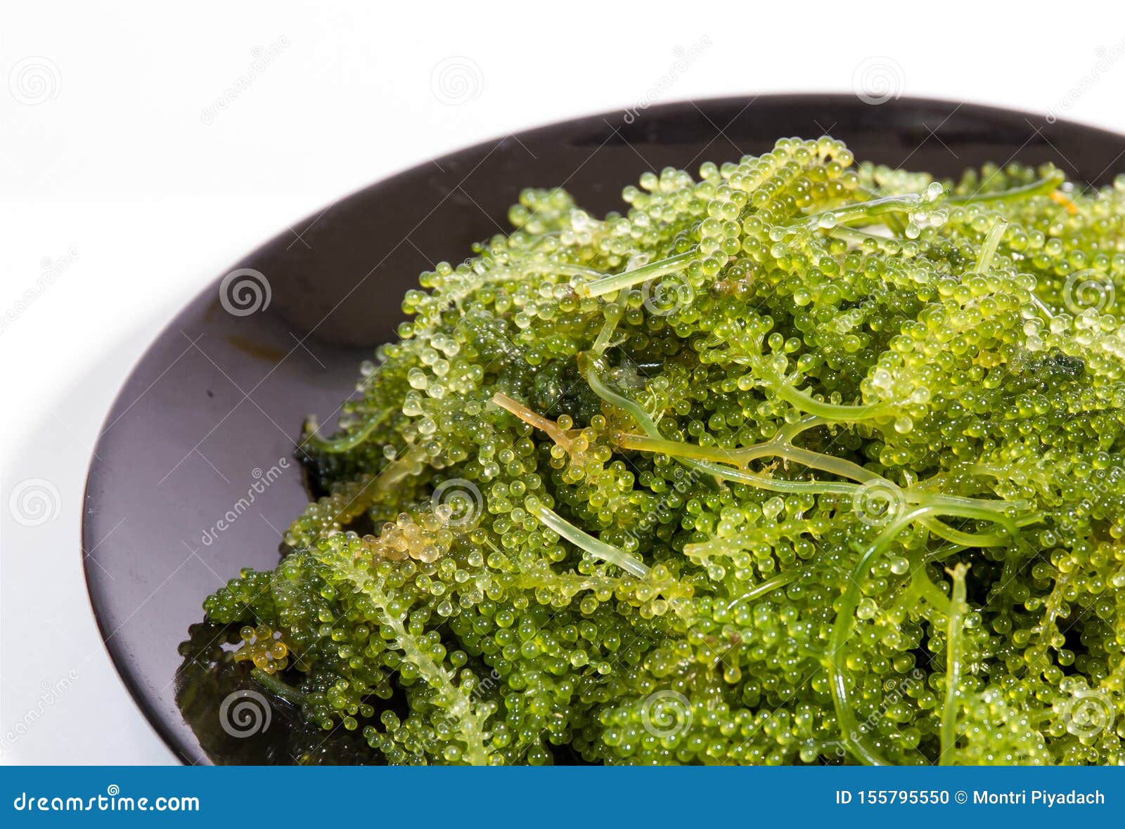Grape seaweed stock photo. Image of edible, tasty, vegan 155795550