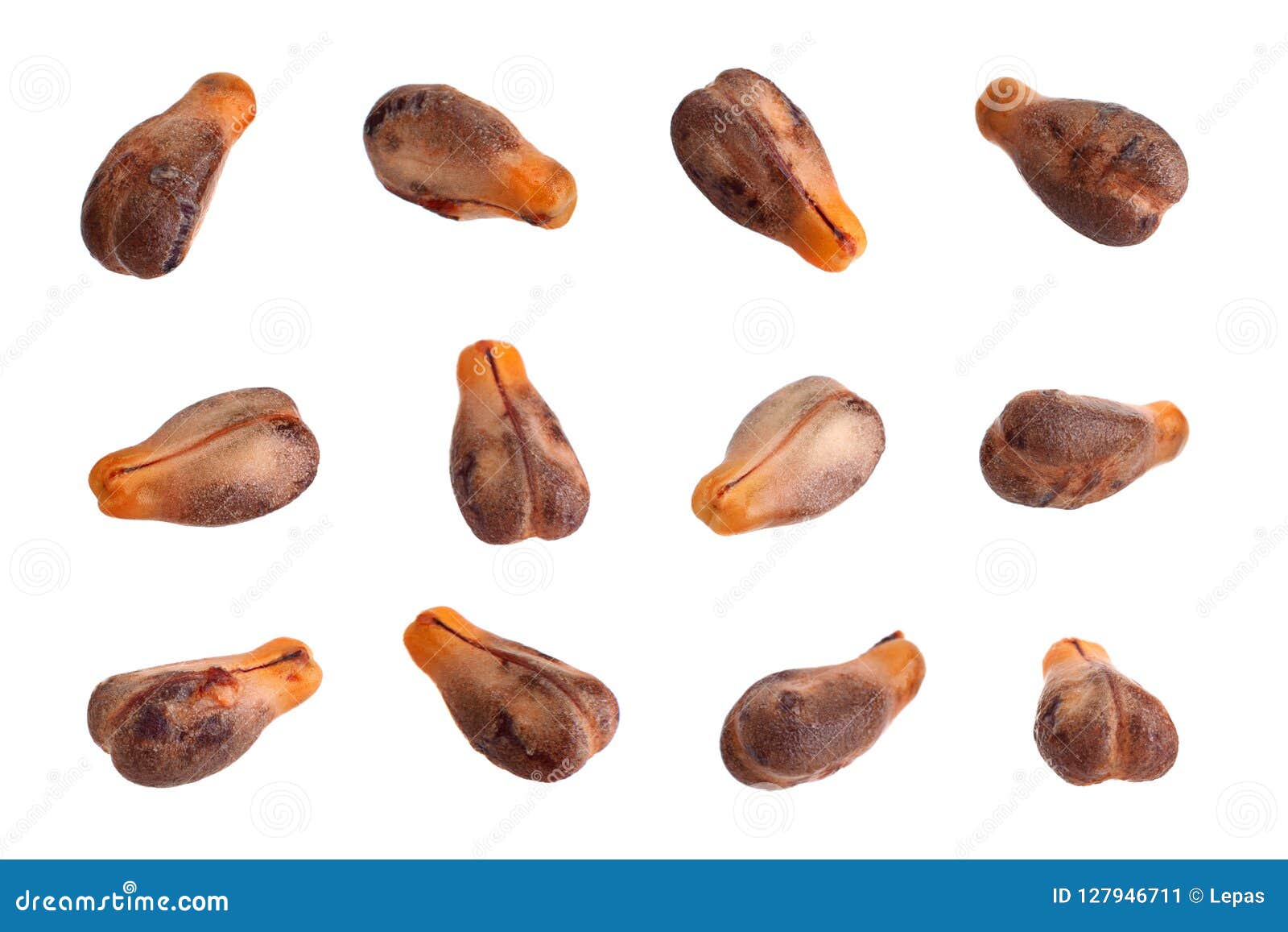 Grape Seeds Closeup Collection Stock Image Image of white, isolated