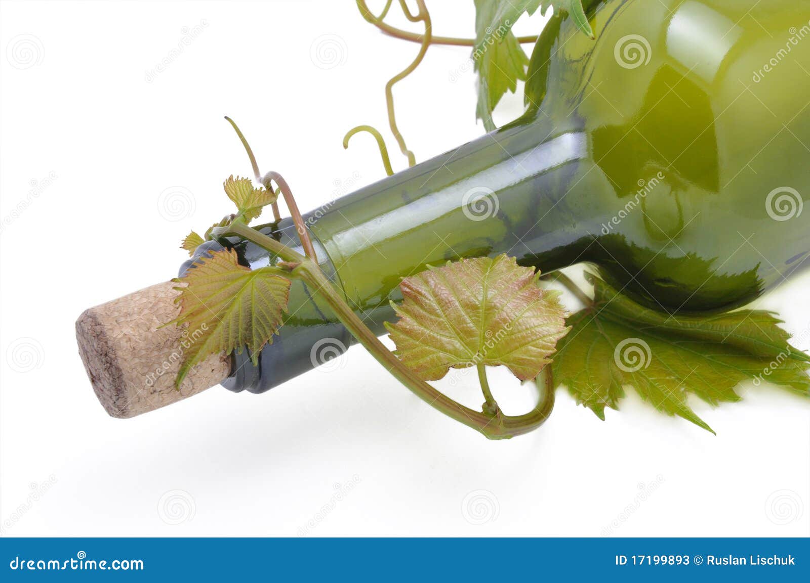 Grapevine and bottle stock image. Image of vine, vitamins 17199893
