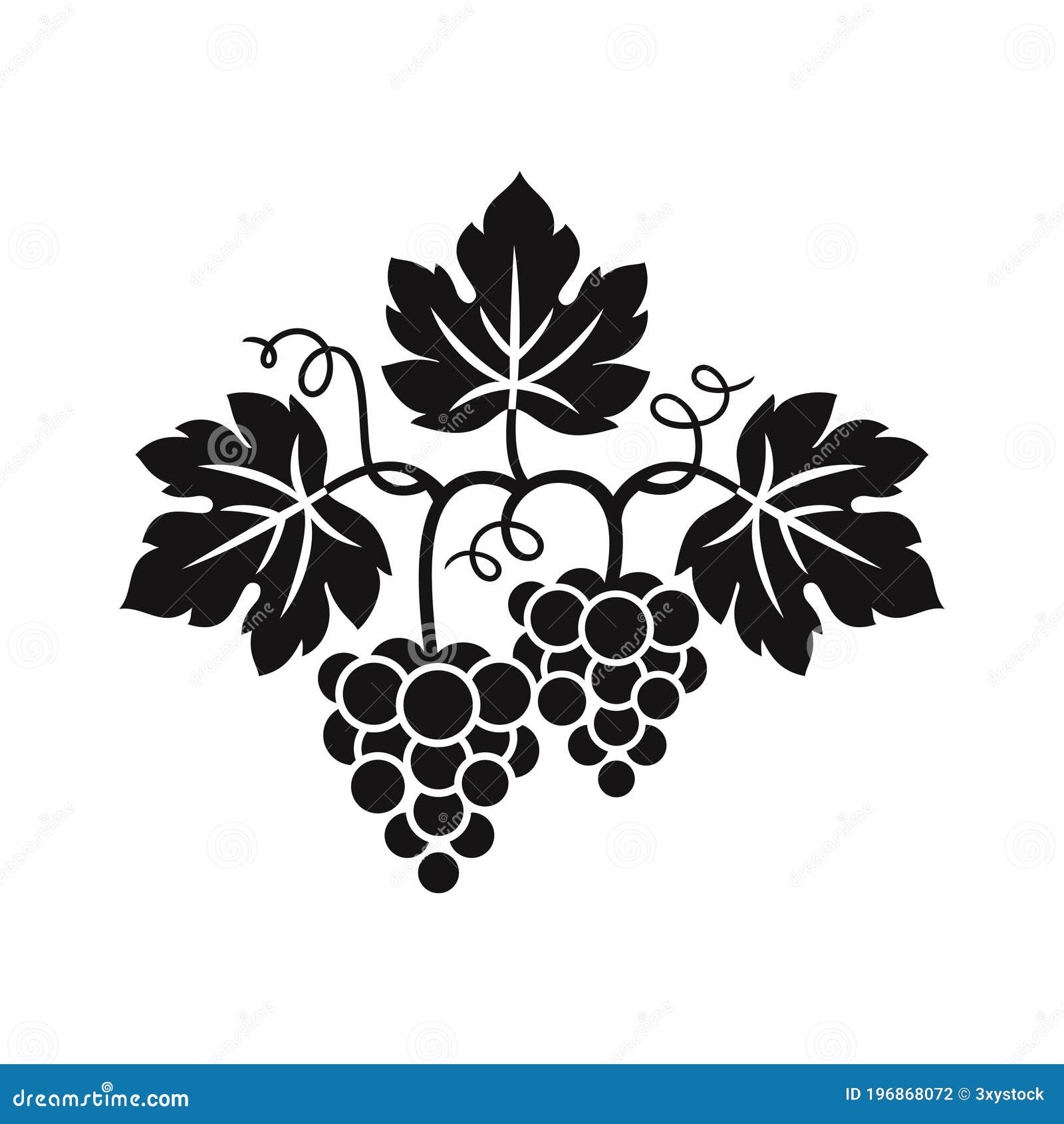 Grape Vine and Bunch Grapes. Grape Branches with Bunch of Grapes and  Leaves. Stock Vector - Illustration of classy, element: 196868072