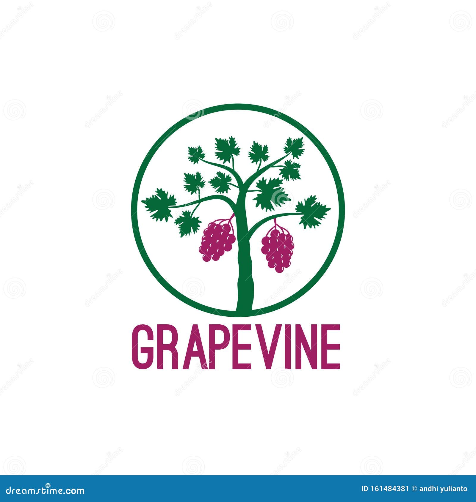 Grape Vine Fruit Plant Inside Circle Vector Logo Design Illustration