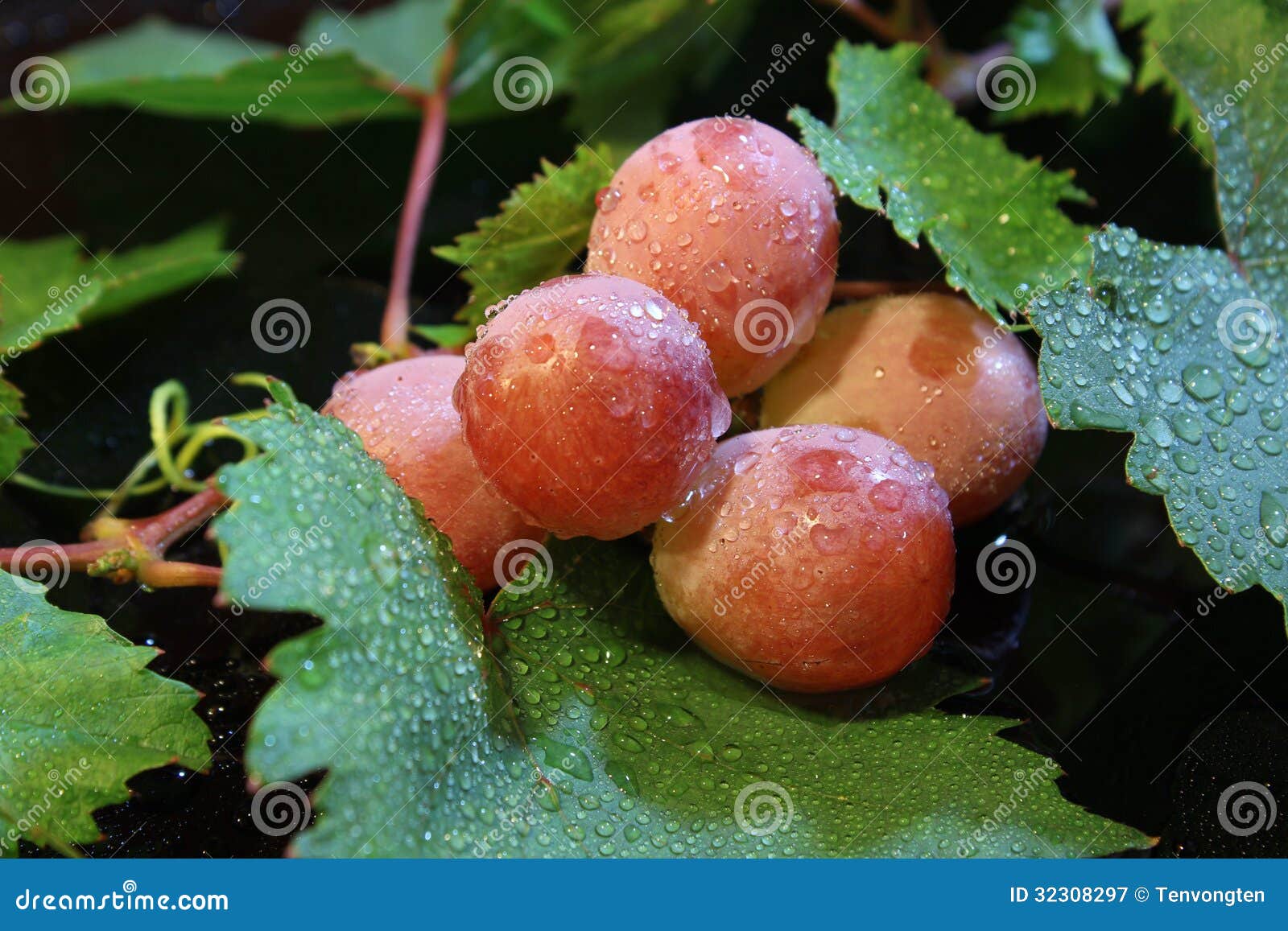 Grapes water drop stock image. Image of gooseberry, pear 32308297