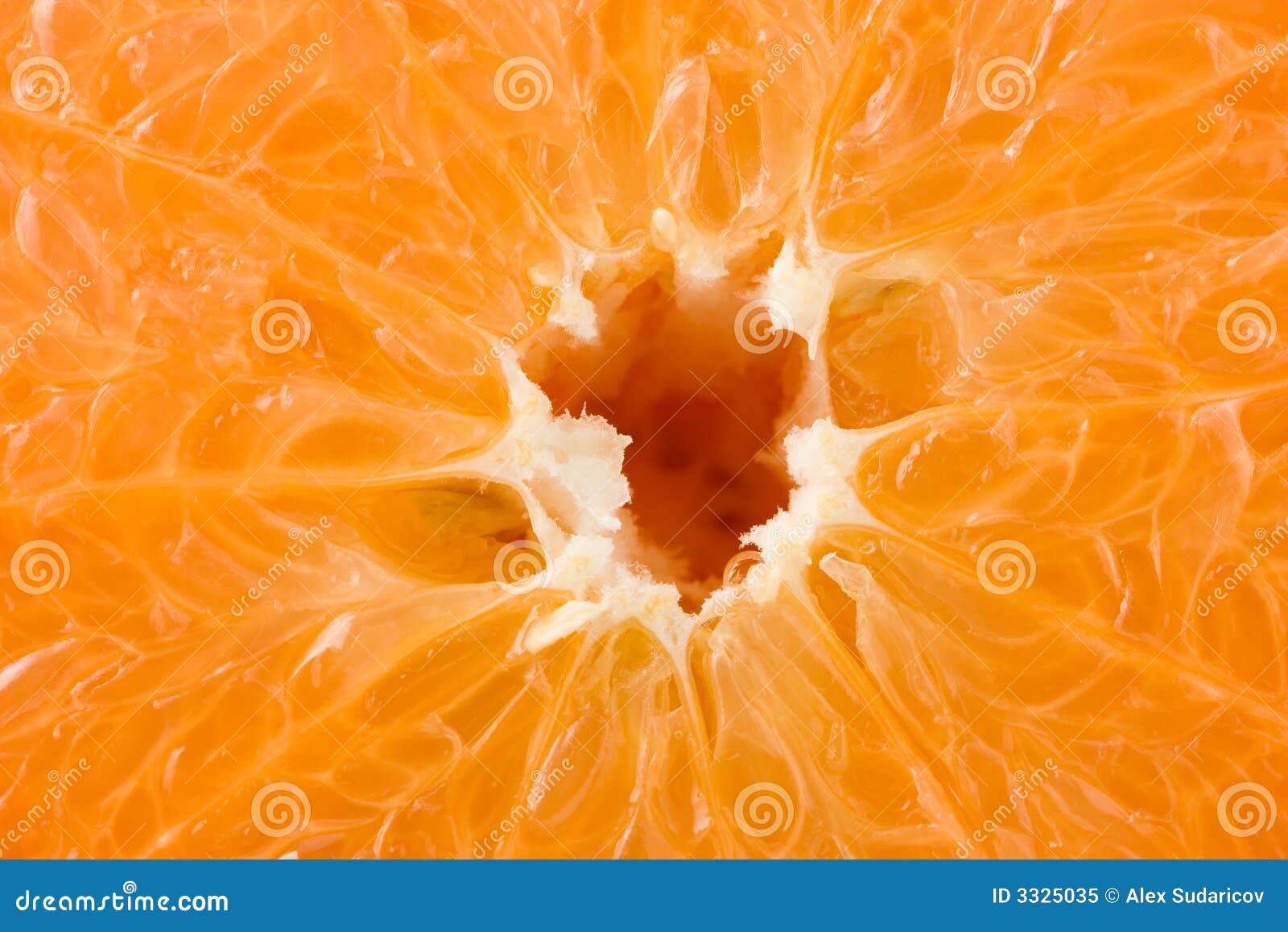 Grapefruit flesh stock image. Image of ripe, grapefruit 3325035