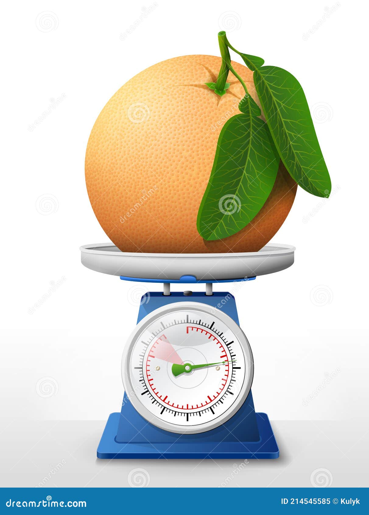 https://thumbs.dreamstime.com/z/grapefruit-fruit-scale-pan-weighing-raw-leaves-kitchen-scales-vector-illustration-agriculture-fruits-cooking-health-214545585.jpg