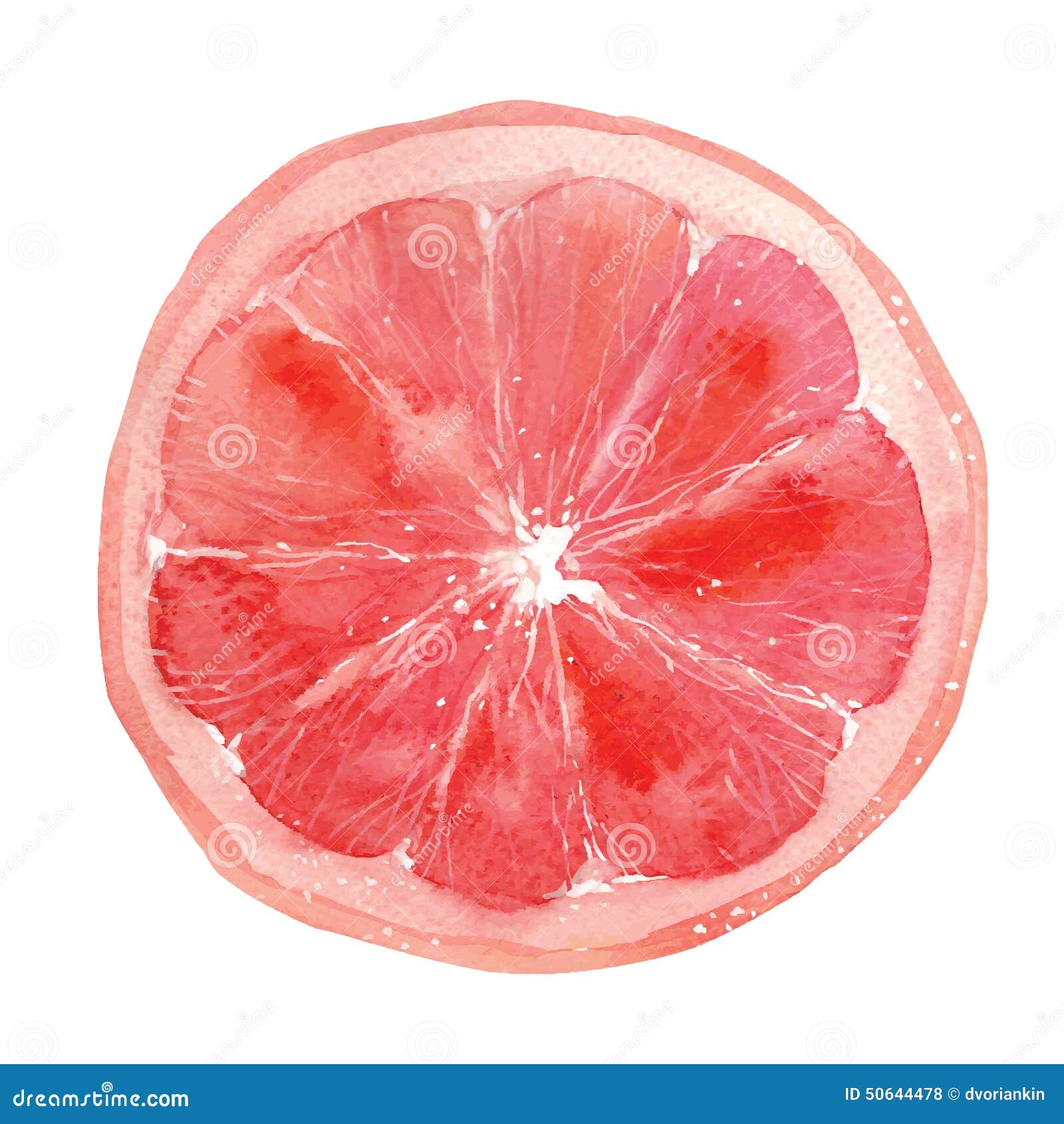 Grapefruit Cartoons, Illustrations & Vector Stock Images - 6002