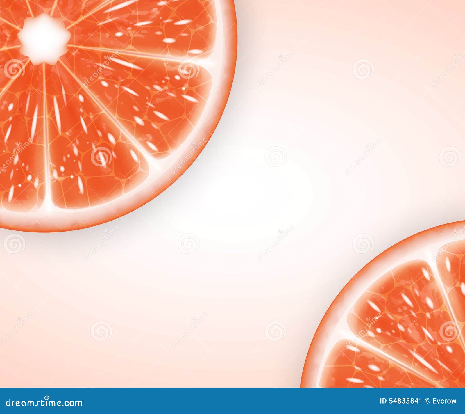 Grapefruit slices stock vector. Illustration of refreshment - 54833841