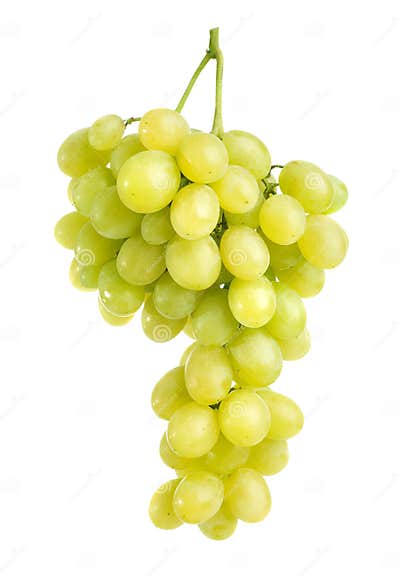 Grapes stock photo. Image of produce, white, healthy - 16532166