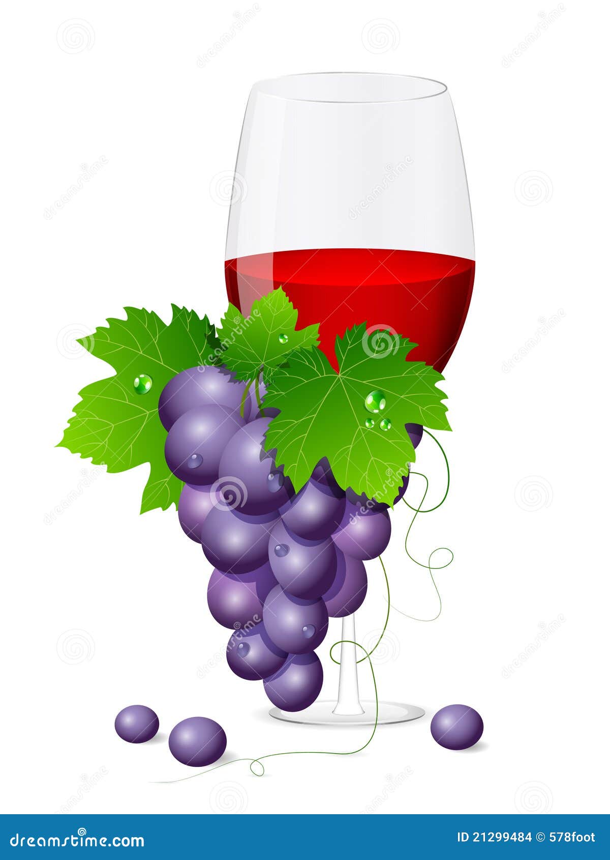 Grapes stock vector. Illustration of natural, decoration - 21299484