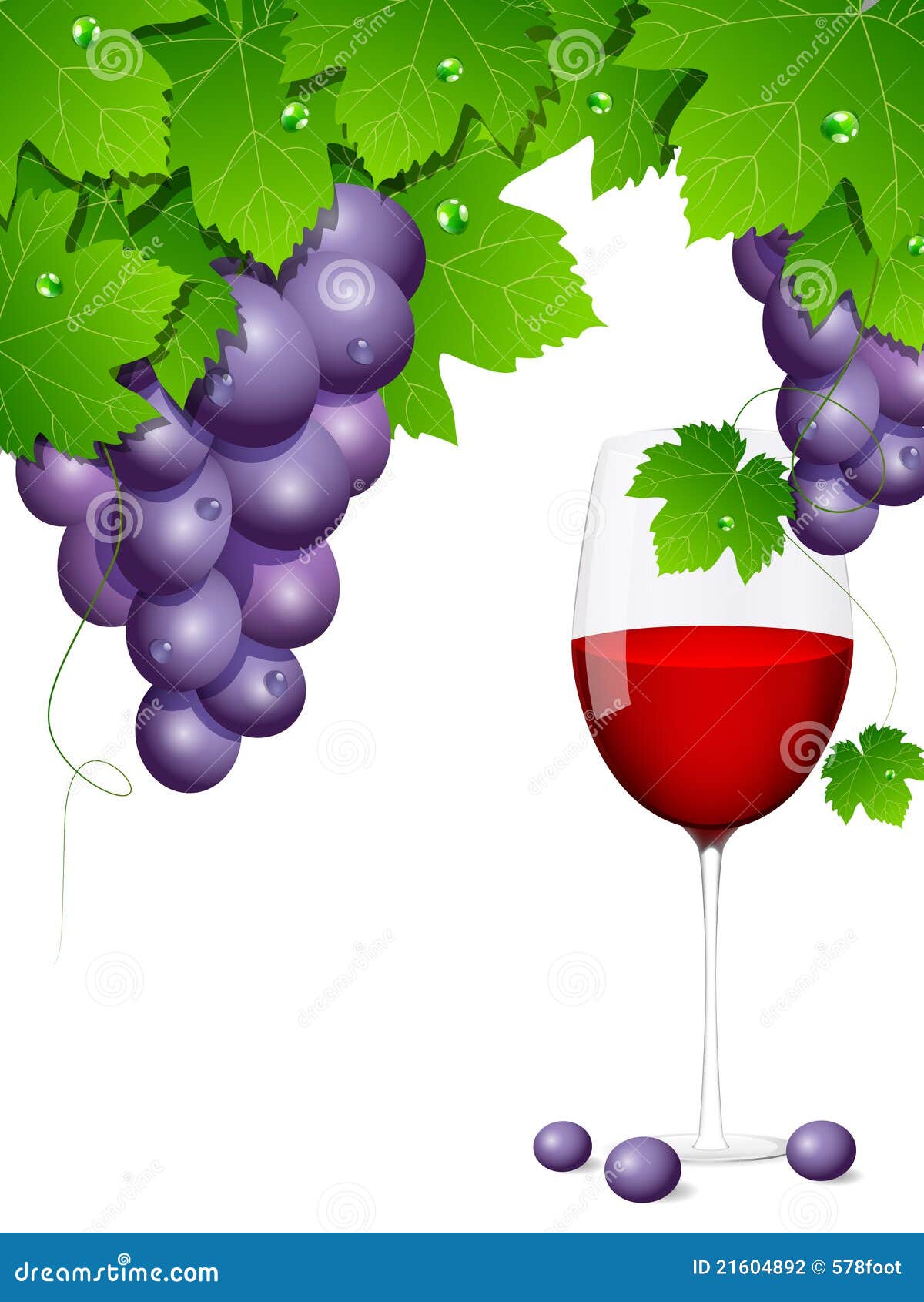 Grapes stock vector. Illustration of leaf, element, drink - 21604892