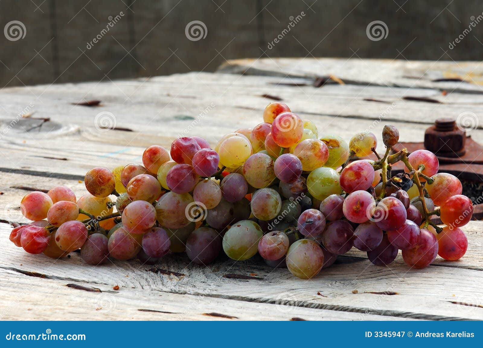 Grapes stock image. Image of greece, sampling, fruit, tradition 3345947