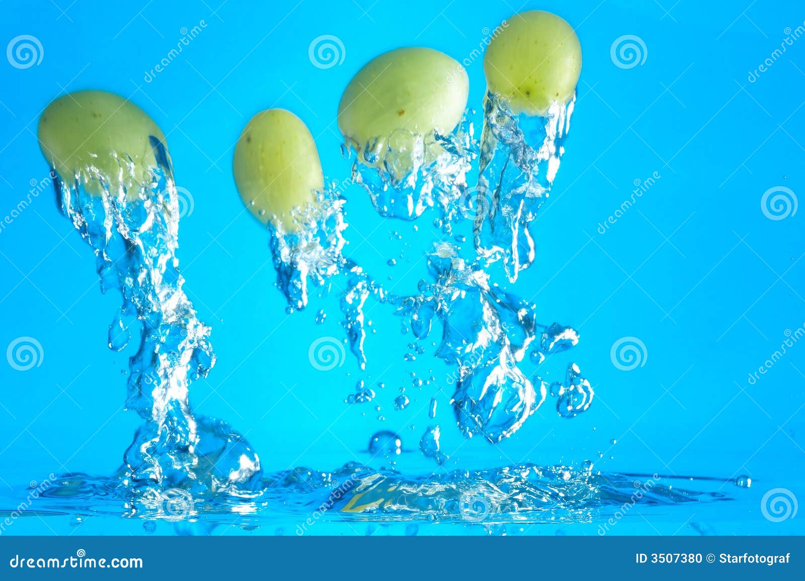 Grapes stock photo. Image of green, splash, freshness 3507380