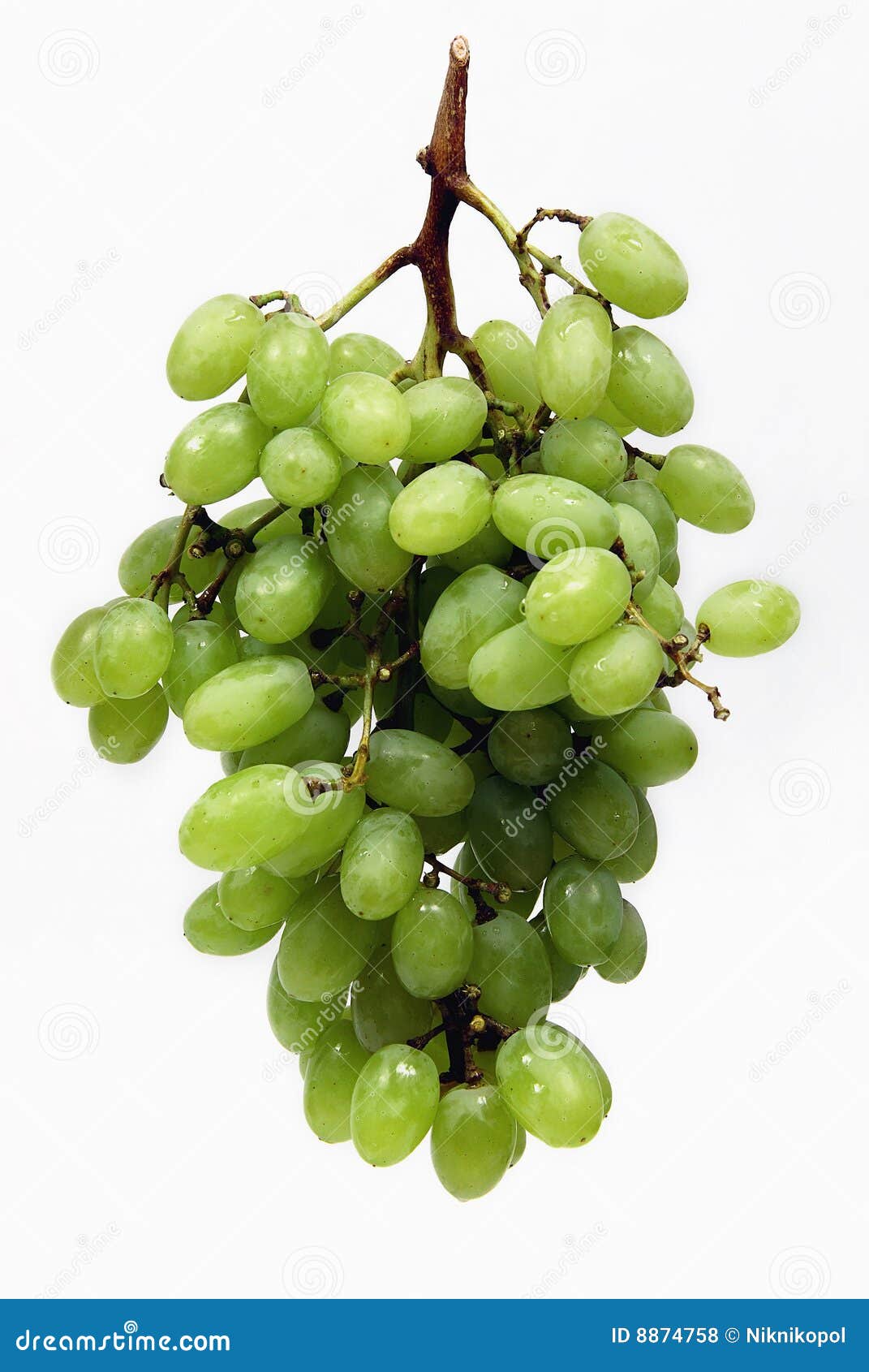 Grapes(bunch) stock photo. Image of bunch, grapes, position 8874758