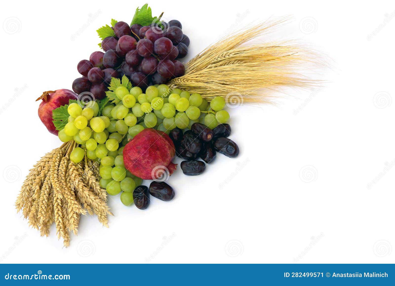 Grapes, Dates, Barley, Wheat on a White Background with Space