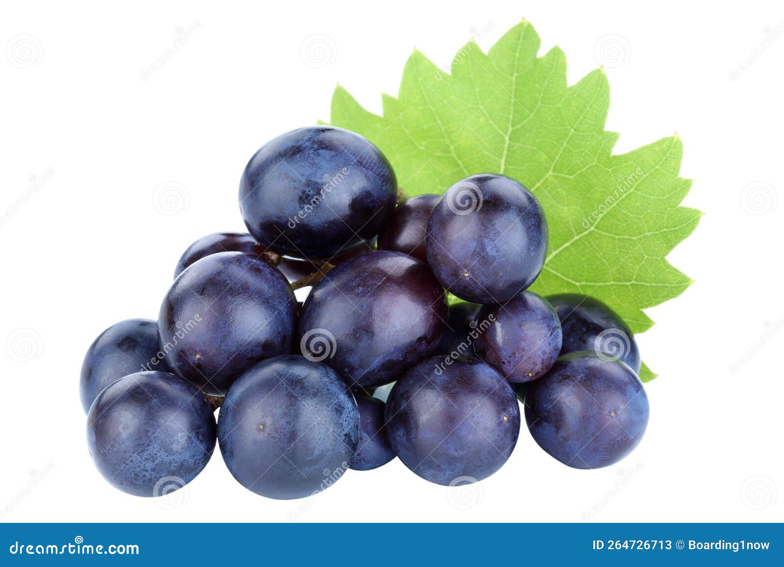 Grapes Fruits Grape Fruit Blue Isolated on White Stock Image Image of