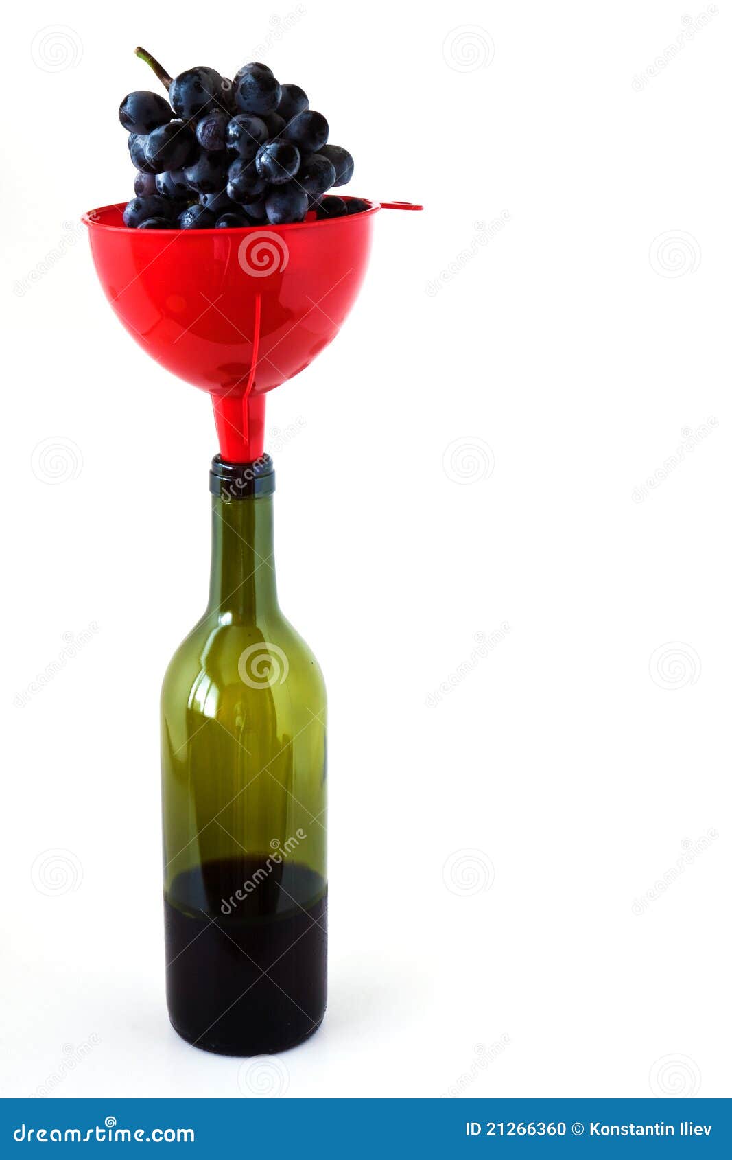 Grapes in a Funnel on Wine Bottles Stock Photo Image of juice, funnel 21266360