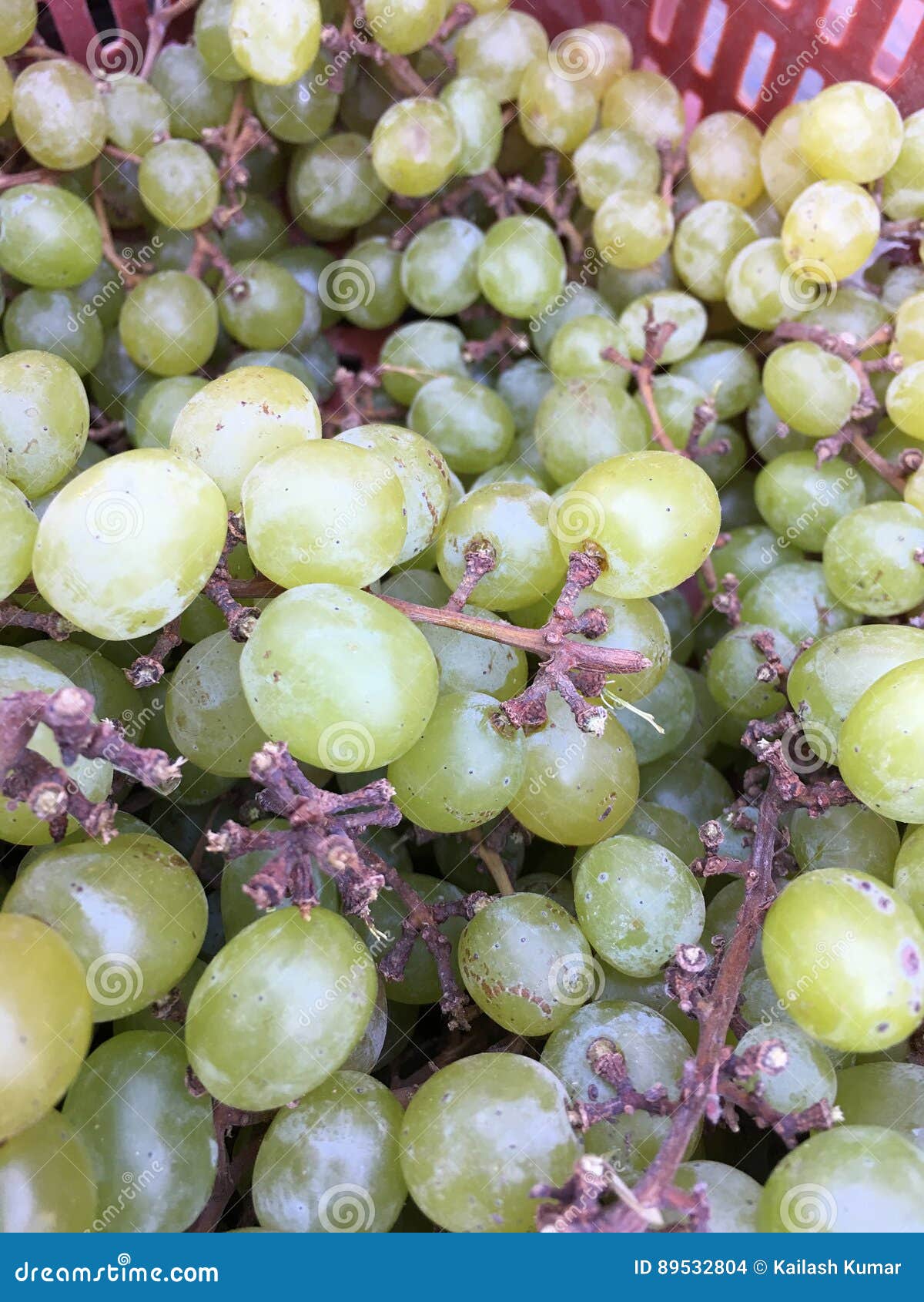 Grapes stock photo. Image of harvest, green, ripe, natural 89532804