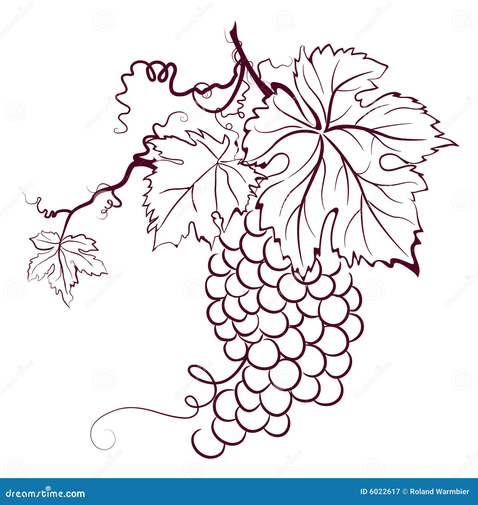 Grapes drawing - Trosa's Artworks - Drawings & Illustration, Food &  Beverage, Fruit, Grapes - ArtPal